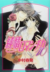 junjou-romantica-scan-ita.jpg